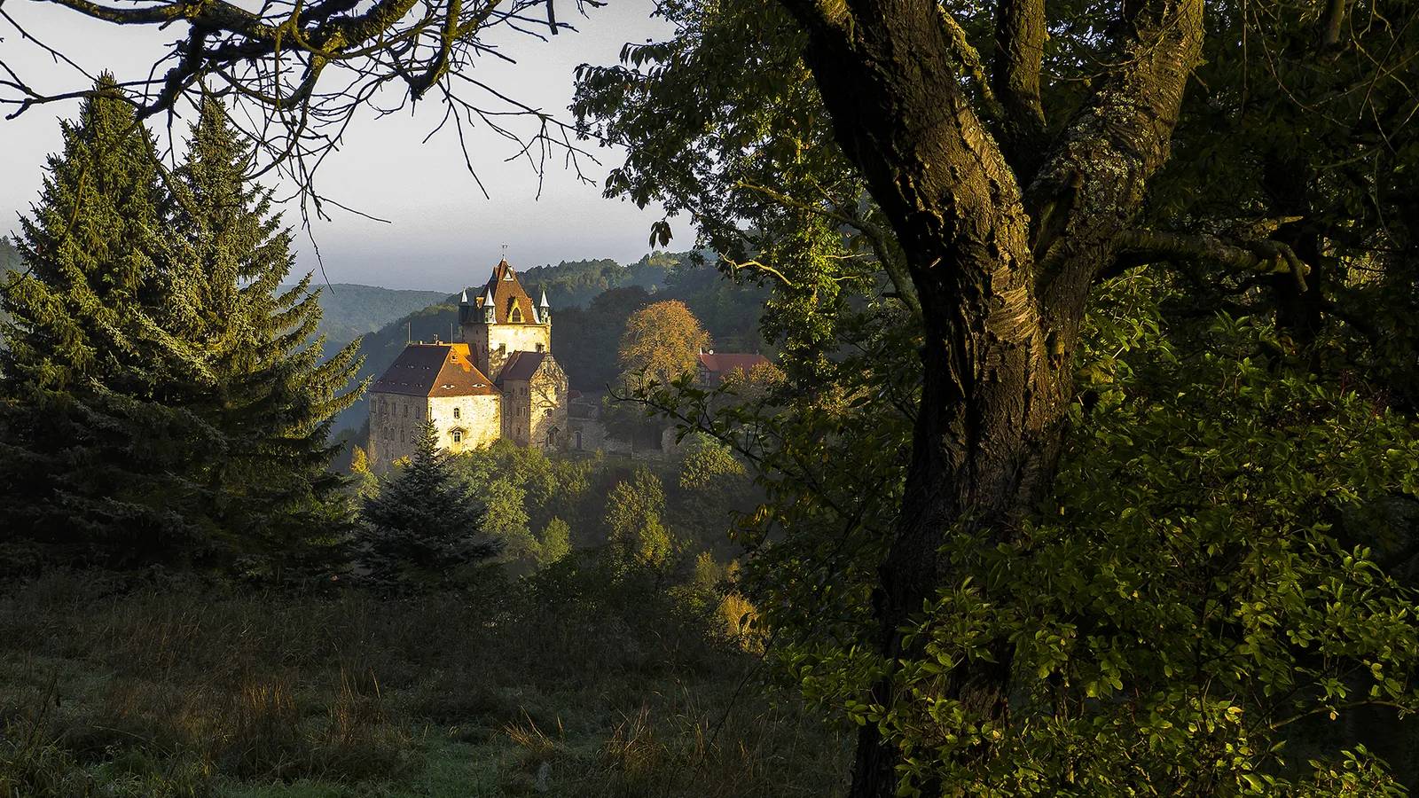Schloss Kuckuckstein