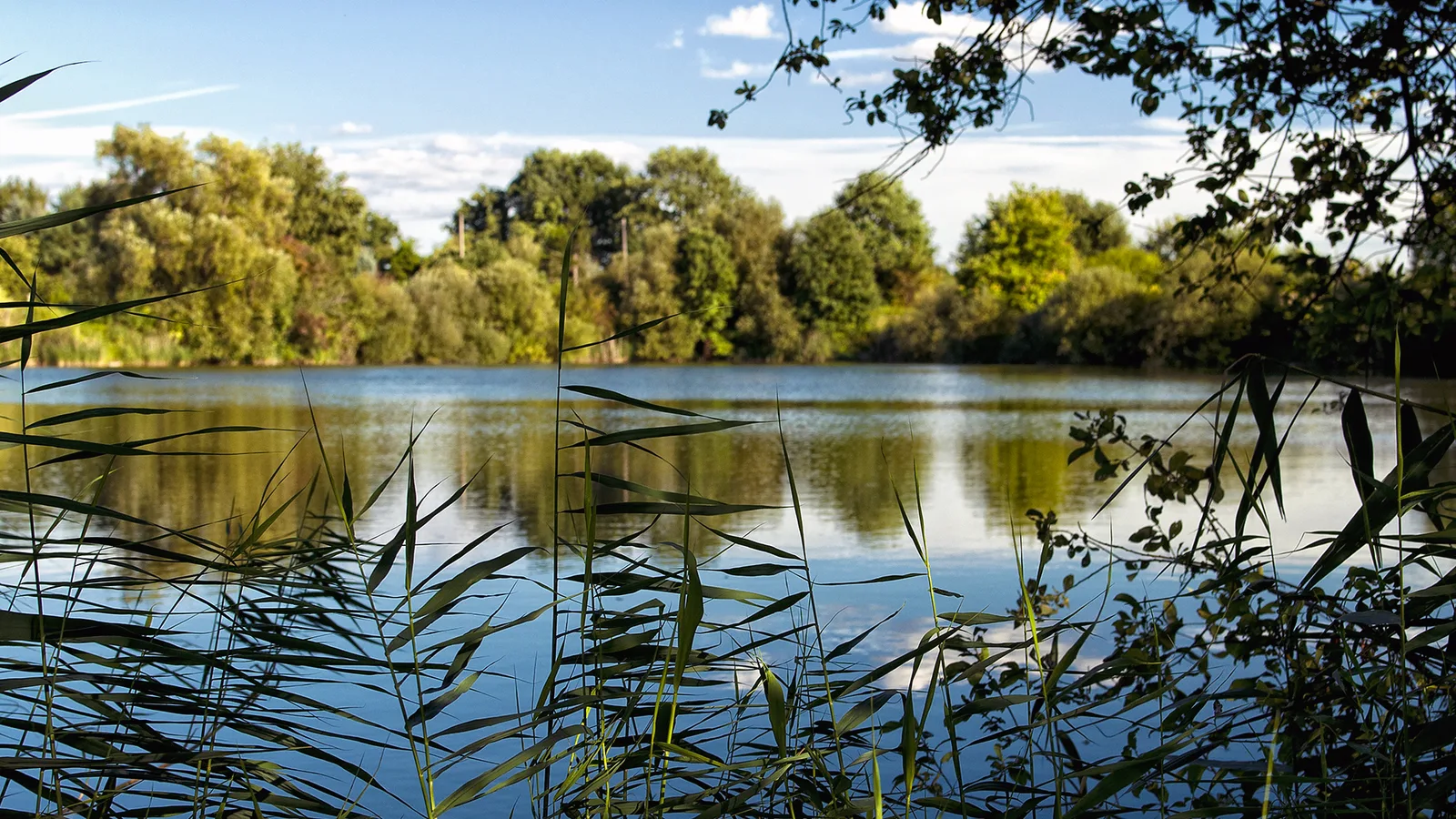 Birkwitzer See
