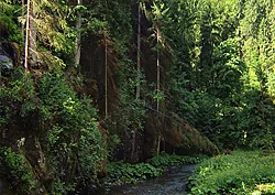 Polenztal