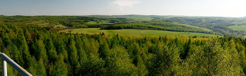 Zeisigstein