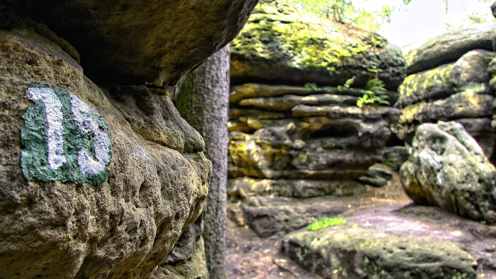 Wanderung zum Bernhardstein und ins Labyrinth