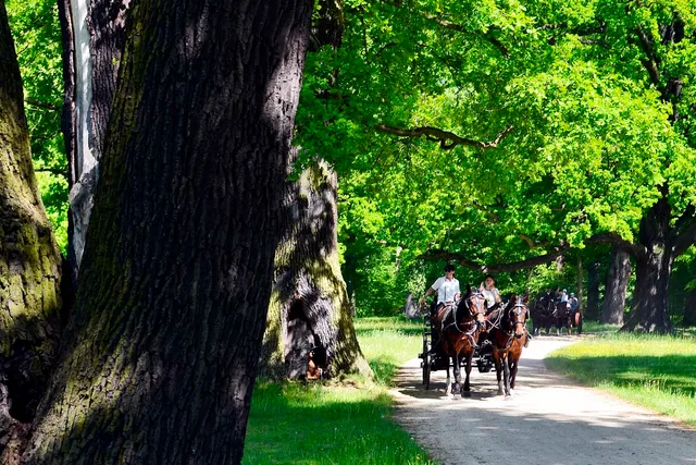 Fürst-Pückler-Park Bad Muskau mit Neuem Schloss