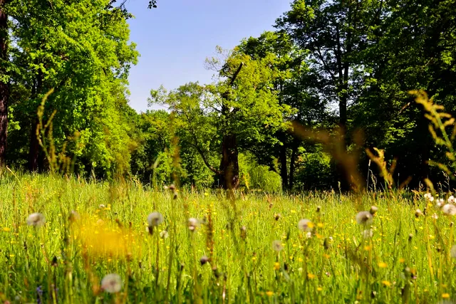 Fürst-Pückler-Park Bad Muskau mit Neuem Schloss