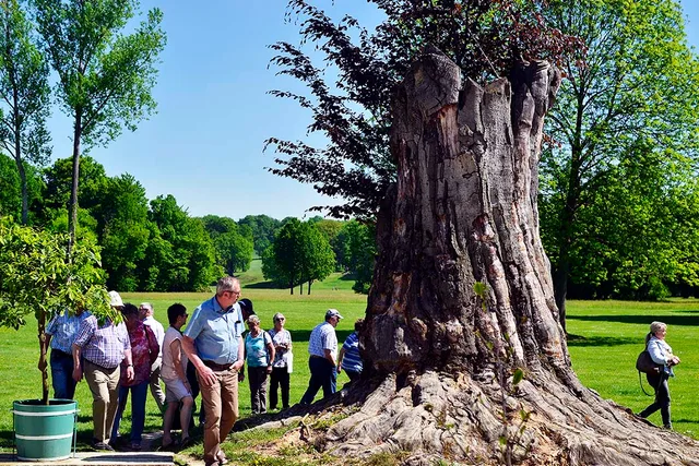 Fürst-Pückler-Park Bad Muskau mit Neuem Schloss