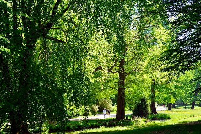 Fürst-Pückler-Park Bad Muskau mit Neuem Schloss