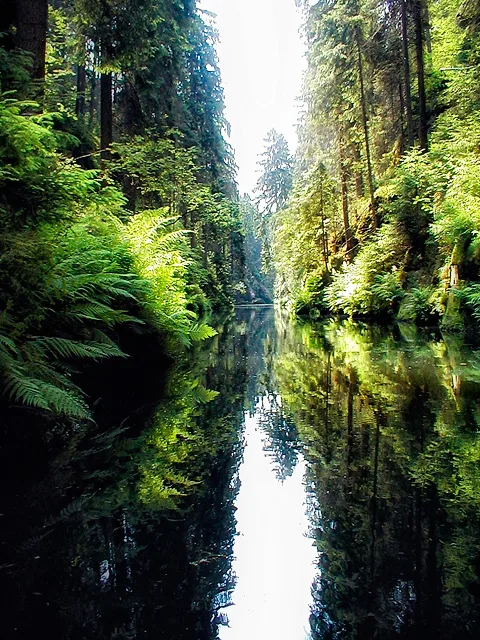 Kahnfahrt Obere Schleuse