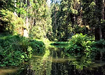 Kahnfahrt Obere Schleuse