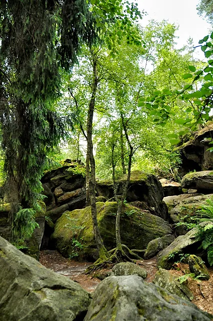 Sandsteinlabyrinth