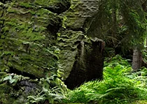 Uttewalder Grund