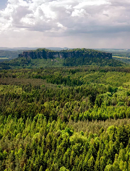 Pfaffenstein
