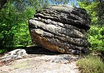 Löwenkopf
