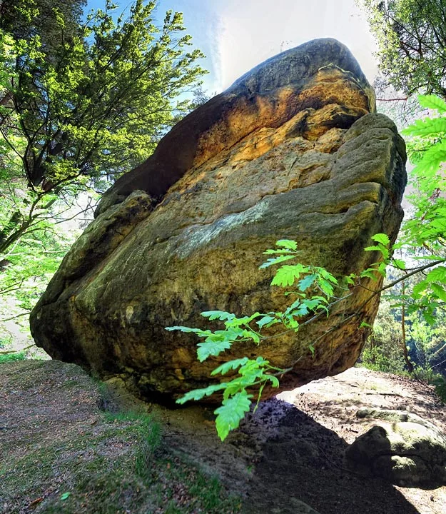 Löwenkopf