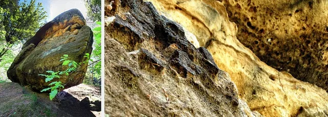 Löwenkopf