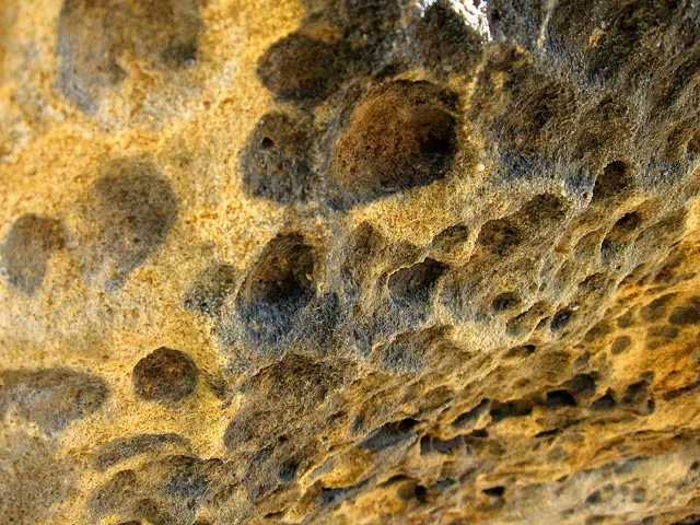 Löwenkopf