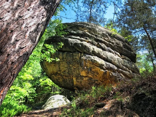 Löwenkopf