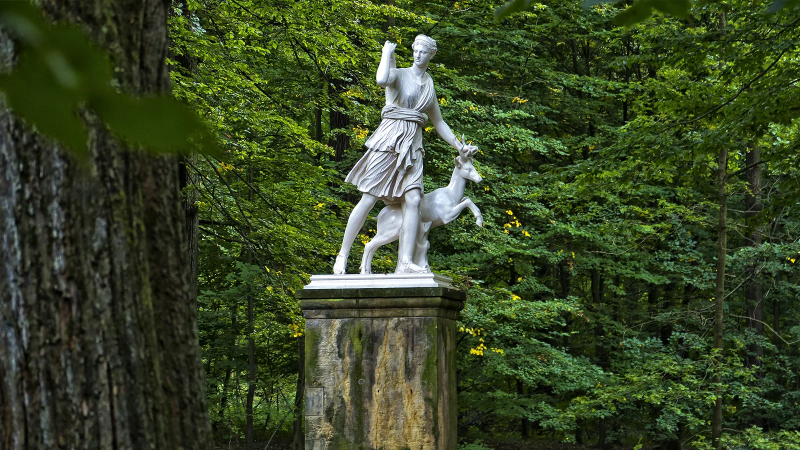 Schlosspark Dürrröhrsdorf-Dittersbach
