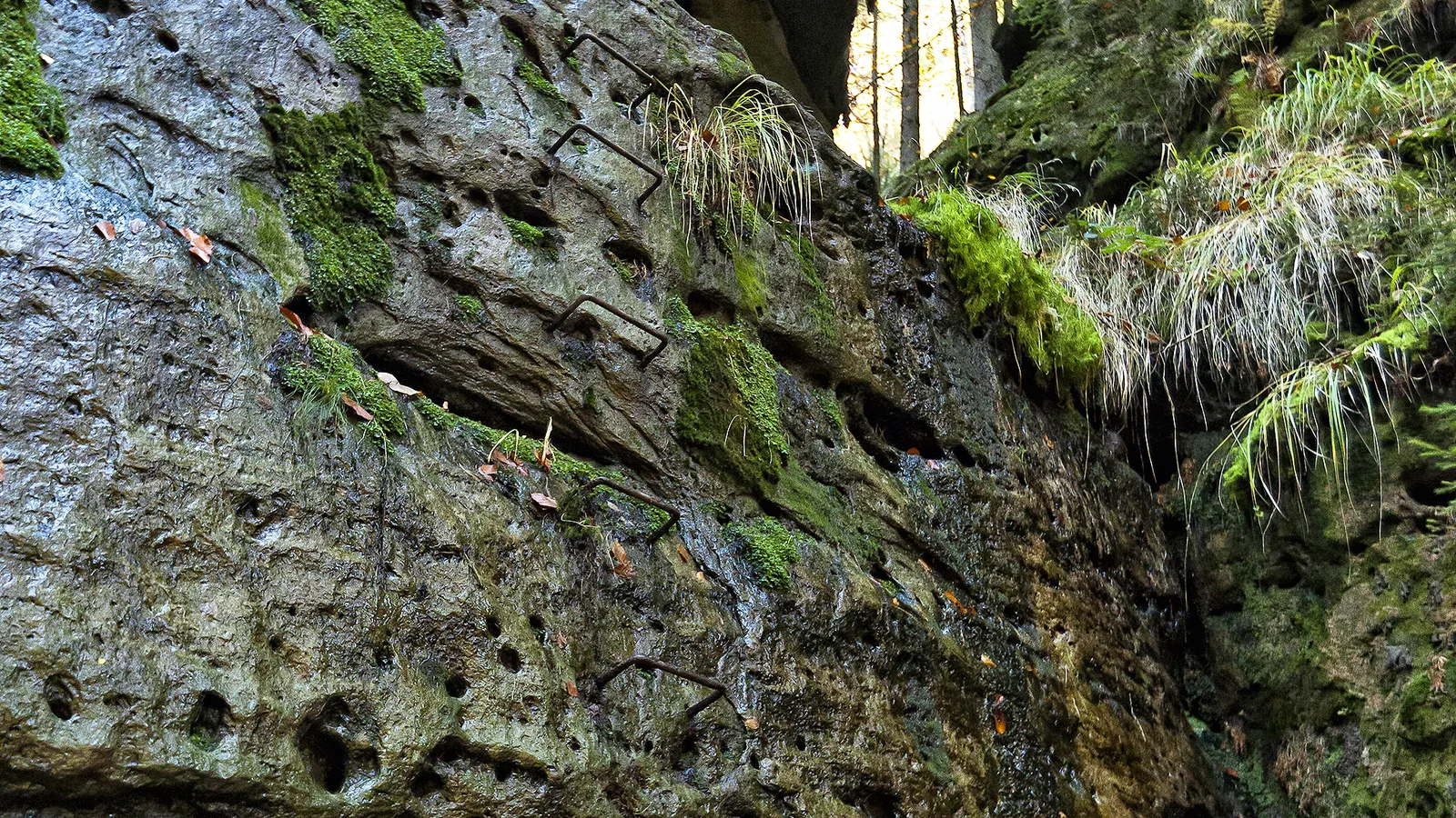 Rübezahlstiege