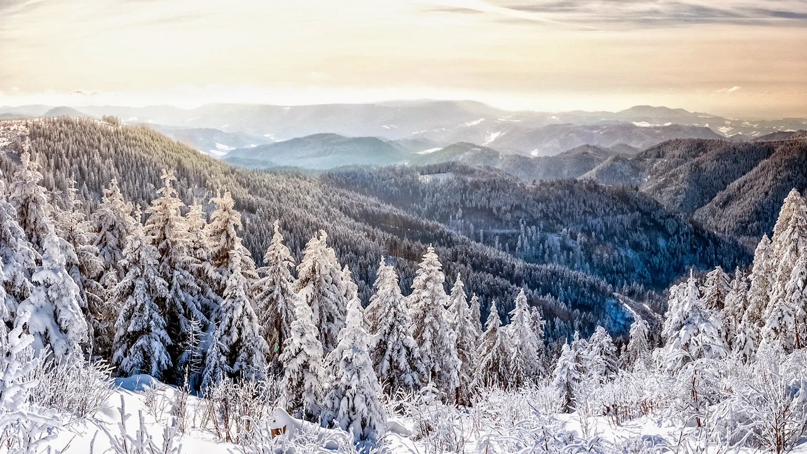 Erzgebirge