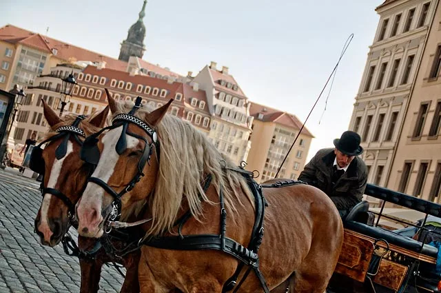 Dresden