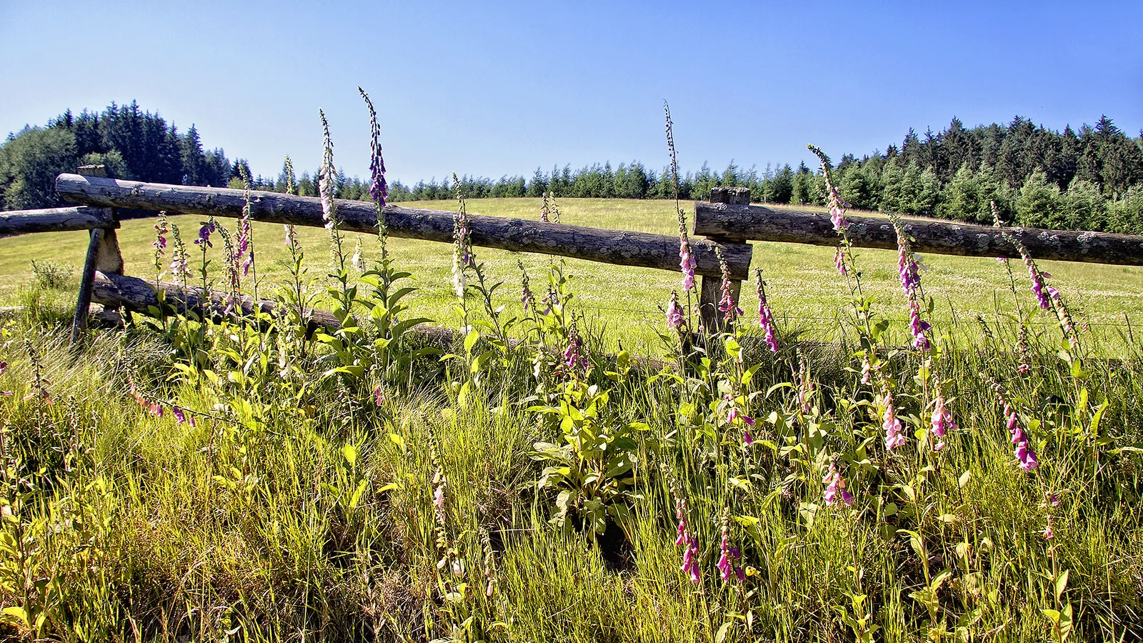 Naturlehrpfad „An den sieben Teichen”