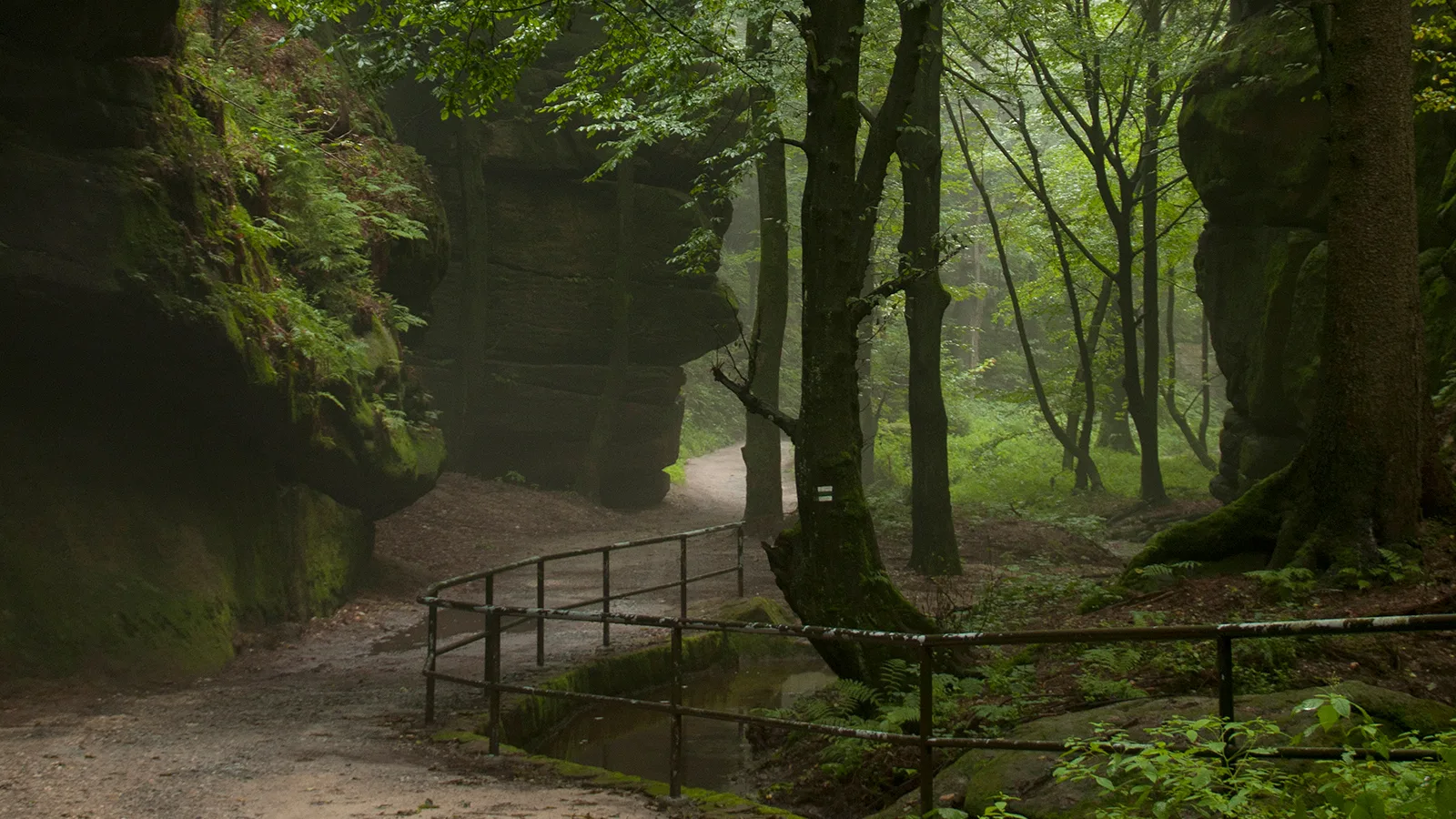 Uttewalder Grund