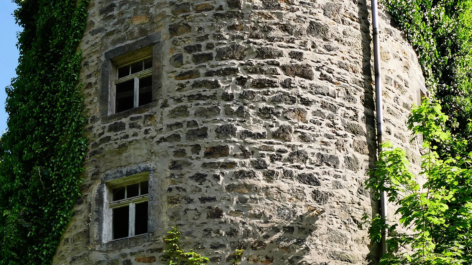 Burgruine Wehlen