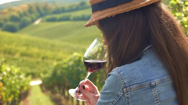 Weinwanderung durch Radebeul