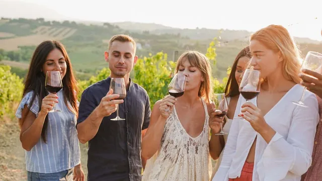 Weinwanderung für Gruppen durch Radebeul