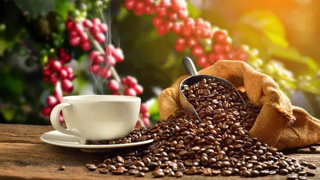 Kaffee selber rösten in Dresden