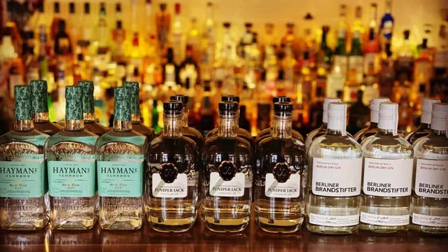 Gin Tasting in Dresden